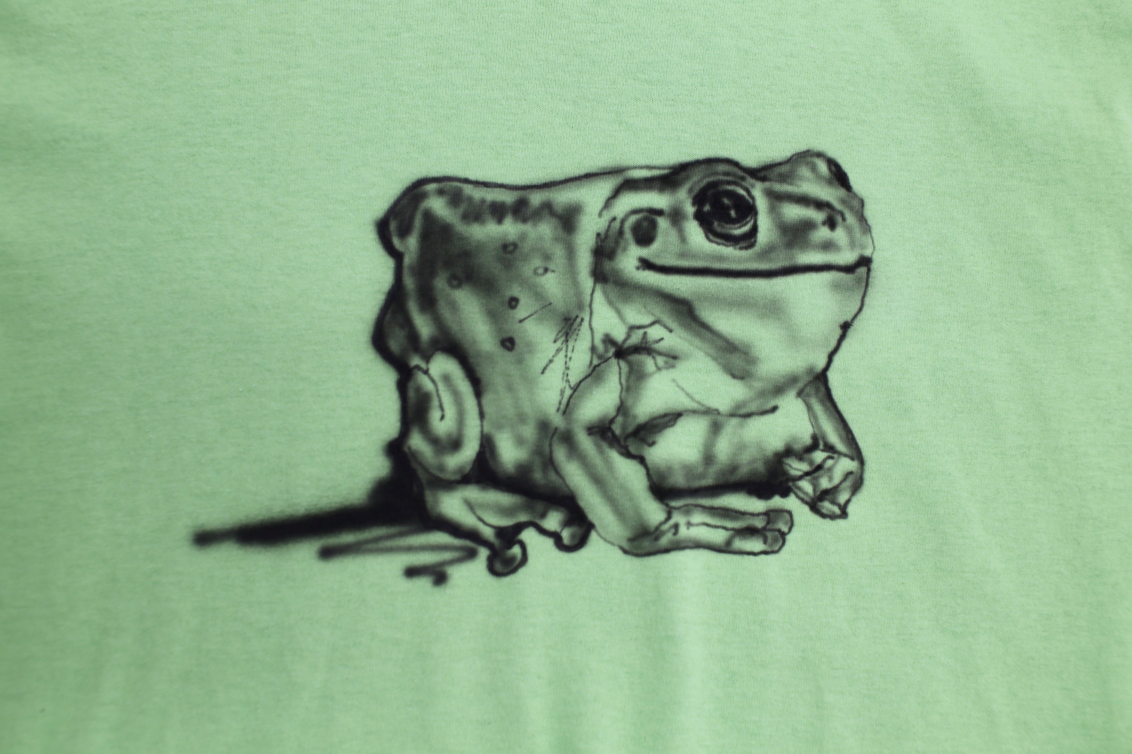 Frog tee shirt