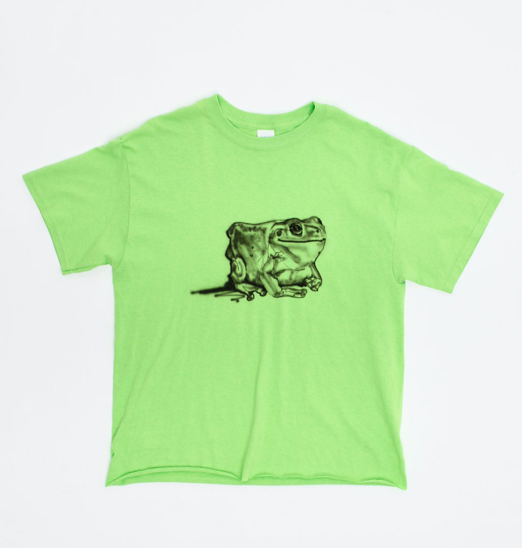 Frog tee shirt