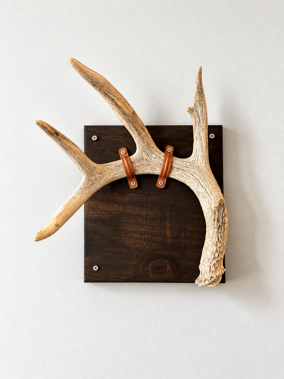 Antler Coat Hanger